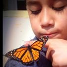 HBO to Debut Earth Day Special SAVING MY TOMORROW: KIDS WHO LOVE THE EARTH