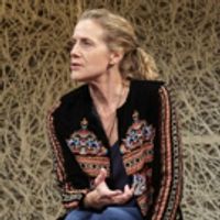 BWW Review: THIRD at TheaterWorks Photo