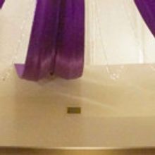 Orlando Shakespeare Theater Toasts to 28 Seasons at Annual Gala