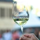 Riesling Rendezvous Grand Tasting July 17 to feature Winemakers from around the World