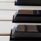 Duo Pianists to Celebrate Liszt at Nichols Concert Hall This Month