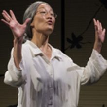 BWW Review: SCT's NADESHIKO - Two Stories with Not Much to Say