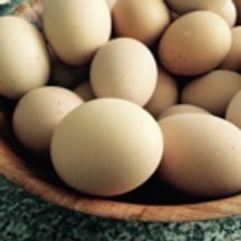 BWW Blog: Micah Young - Counting Chickens