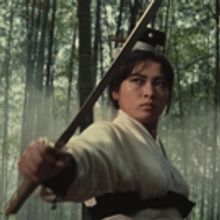 MFAH Film Series WUXIA WONDERS: MARTIAL ARTS ON SCREEN Opens This Weekend