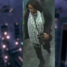 Woman Accused of Robbing HAMILTON Theatregoers Outside Stage Door