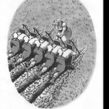 THE CHEESEHEAD BIBLE by Art Starr is Released