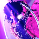 Full Cast Announced for THE DONKEY SHOW - A MIDSUMMER NIGHT'S DISCO in London