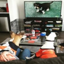 Are You a Reality TV Addict? Patti Murin Picks the Perfect Broadway Shows for You!