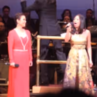 TV: Watch Highlights from New York Pops' Star-Studded Gala, Honoring Legendary… Video