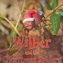 Karen Foster - Pippitt Pens WILBER AND THE CHRISTMAS SPIDER