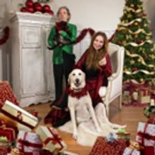 Harry Shearer & Judith Own to Present 'Christmas Without Tears (Does This Tree Make…