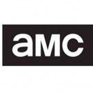 AMC & Sony Pictures to Bring David Carr's THE NIGHT OF THE GUN to Miniseries