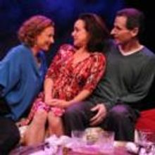 BWW Reviews: THE TALE OF THE ALLERGIST'S WIFE at Theatre J