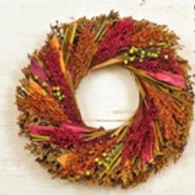 See What's Happening this Week at McLean Community Center