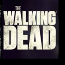 Norman Reedus Says 'Planet Will Explode' When AMC's THE WALKING DEAD Returns