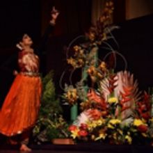 Unique Performance Melds Classical Bharatnatyam Dance with Japanese Ikebana