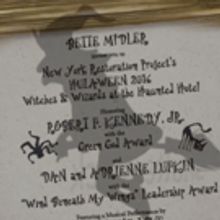 TV: A Magical Invite for Bette Midler's 'Witches & Wizards' Hulaween Bash