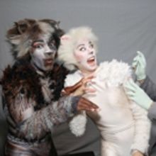 Photo Coverage: Healthy Kitties! Dr. Barry Kohn Makes Flu Shot 'House Calls' at CATS