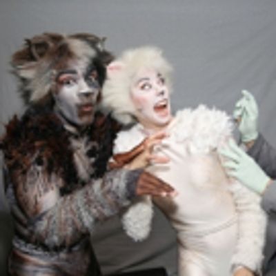 Photo Coverage: Healthy Kitties! Dr. Barry Kohn Makes Flu Shot &#039;House Calls&#039; at CATS