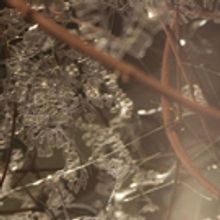 Chashama Presents SUBURBAN FORM