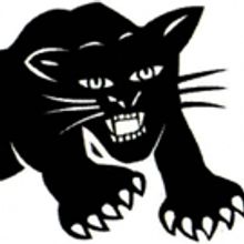 Jacqueline Wade's BLACK PANTHER WOMEN Premieres at 13th Street Rep Today