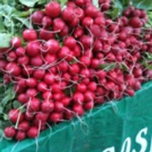 'Real Talk / Kip Talk' at Abrons Arts Center