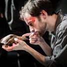 BWW Review: HAMLET, Trafalgar Studios