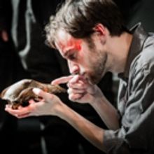BWW Review: HAMLET, Trafalgar Studios