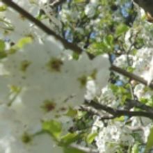 Summer Stages: Jaime's Long Island Spring/Summer Picks