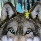 CoisCeim Dance Theatre to Present THE WOLF AND PETER