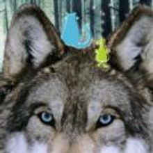 CoisCeim Dance Theatre to Present THE WOLF AND PETER