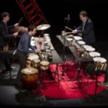 DPAC Presenting Series Concert to Honor Steve Reich's 80th Birthday