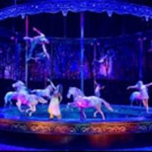 65 Horses Vacation in Hollister Before South Bay Debut