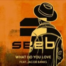 Seeb Unveils New Single 'What Do You Love' feat. Jacob Banks