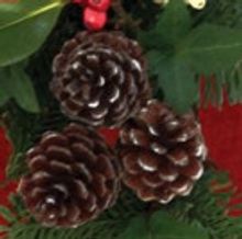 American Blues Theater Presents the 15th Anniversary Production of IT'S A WONDERFUL L