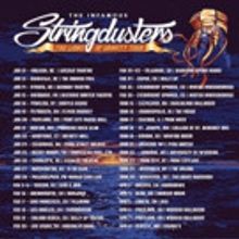 The Infamous Stringdusters Announce New Album 'Laws Of Gravity'