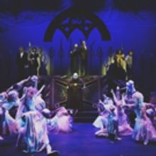 BWW Review: THE ADDAMS FAMILY is a Witty, Tuneful Boy Meets Ghoul Story