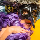 BWW Review: DANGEROUS BIRDS (IF AGITATED) Take Flight with Tennessee Williams…