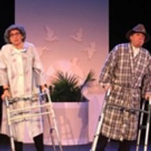 BWW Review: BroadHollow's ASSISTED LIVING, THE MUSICAL