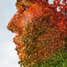 Palm Beach Dramaworks presents ARCADIA by Tom Stoppard