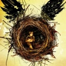 Harry Potter's Legacy Lives On! West End's 'CURSED CHILD' Is a Sequel, Not a Prequel