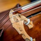 Staten Island Philharmonic to Perform STATEN ISLAND STARS This Fall