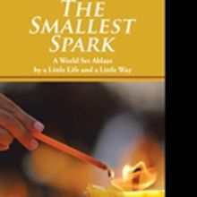THE SMALLEST SPARK is Released