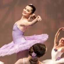 Metropolitan Ballet Company 20th Anniversary Gala Performance Set for 6/4