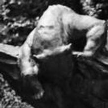 Living Landmarks Exhibition to Celebrate NYC Parks in Honor of 50th Anniversary of…
