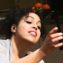 BWW Review: Intiman's Seething STICK FLY Feels Clunky