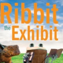 Frogs to Leap Into Atlanta Botanical Garden, Gainesville This Weekend