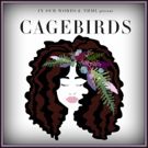 CAGEBIRDS to Make a Break for It at THML Theatre Company