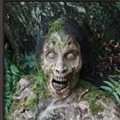 BWW Book Review: THE WALKING DEAD Hard-Cover Journals On Shelves Now!