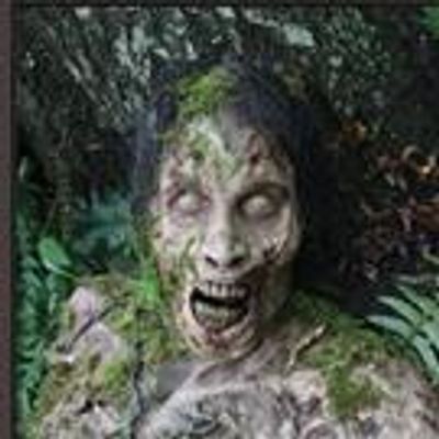 BWW Book Review: THE WALKING DEAD Hard-Cover Journals On Shelves Now!